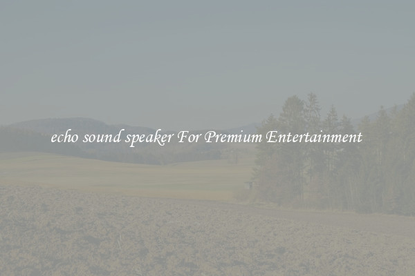 echo sound speaker For Premium Entertainment 