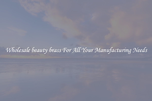 Wholesale beauty brass For All Your Manufacturing Needs
