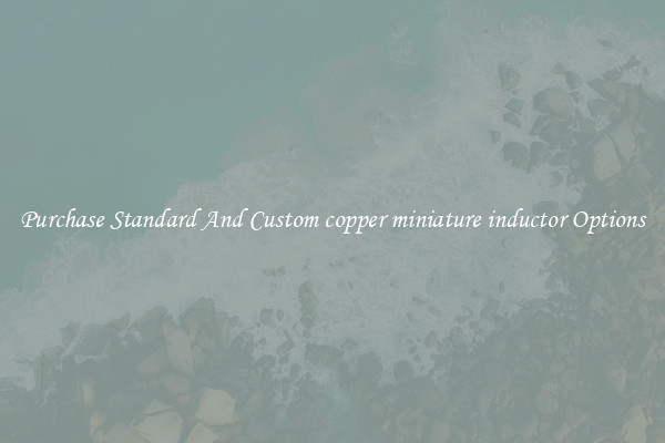 Purchase Standard And Custom copper miniature inductor Options