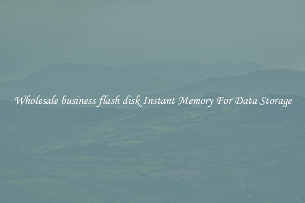 Wholesale business flash disk Instant Memory For Data Storage