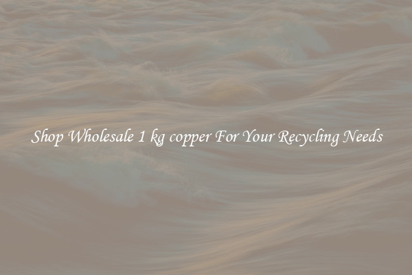 Shop Wholesale 1 kg copper For Your Recycling Needs