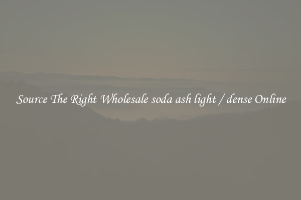 Source The Right Wholesale soda ash light / dense Online