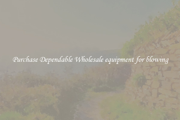 Purchase Dependable Wholesale equipment for blowing