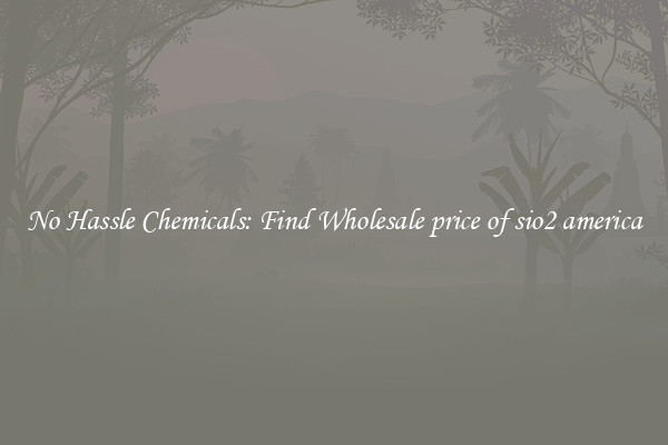 No Hassle Chemicals: Find Wholesale price of sio2 america