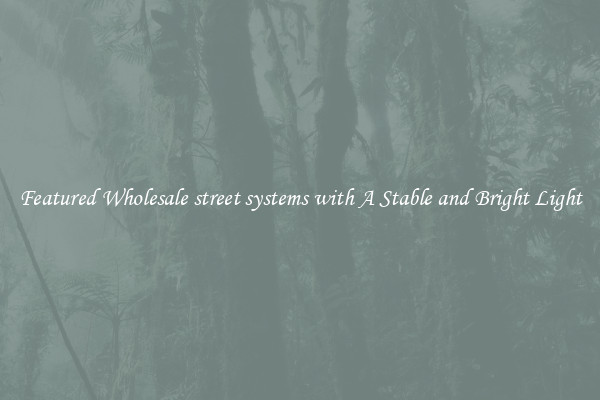 Featured Wholesale street systems with A Stable and Bright Light