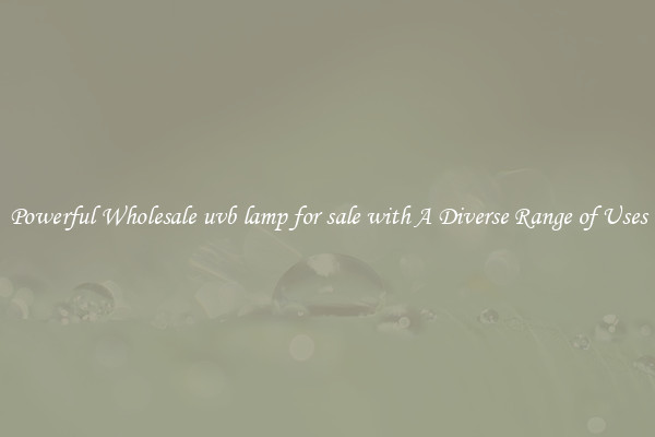 Powerful Wholesale uvb lamp for sale with A Diverse Range of Uses