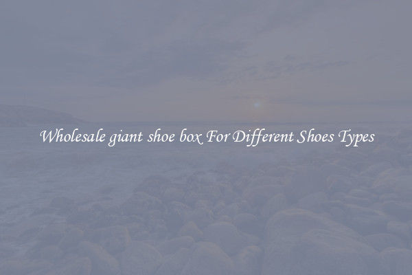 Wholesale giant shoe box For Different Shoes Types