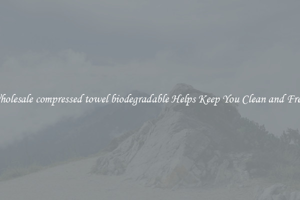 Wholesale compressed towel biodegradable Helps Keep You Clean and Fresh