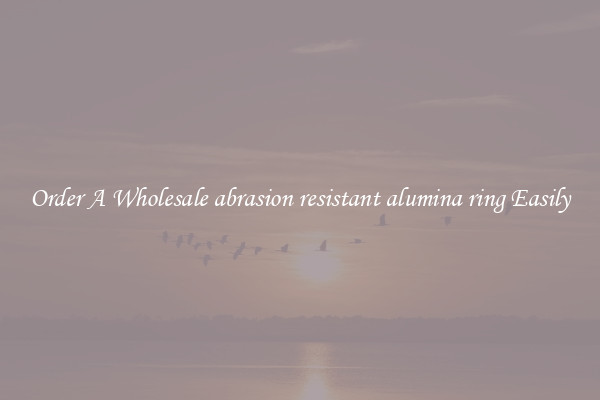 Order A Wholesale abrasion resistant alumina ring Easily
