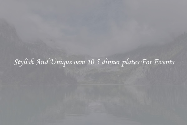 Stylish And Unique oem 10 5 dinner plates For Events