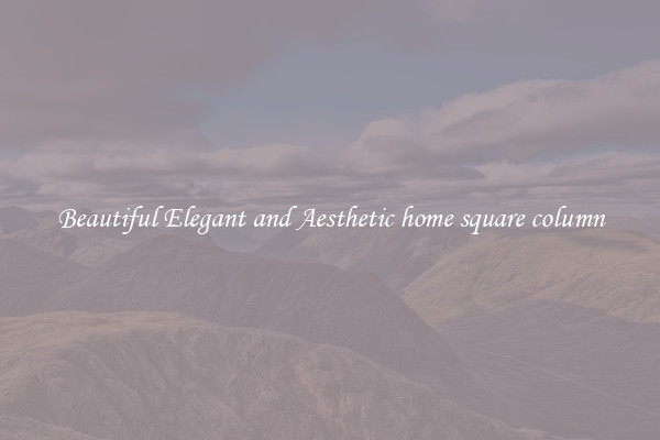Beautiful Elegant and Aesthetic home square column