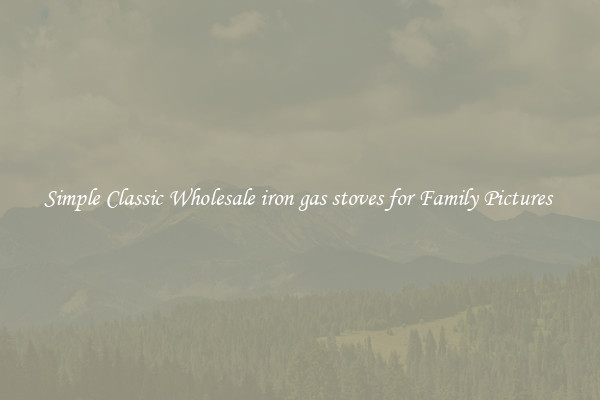 Simple Classic Wholesale iron gas stoves for Family Pictures 