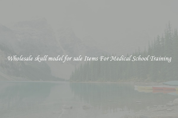 Wholesale skull model for sale Items For Medical School Training
