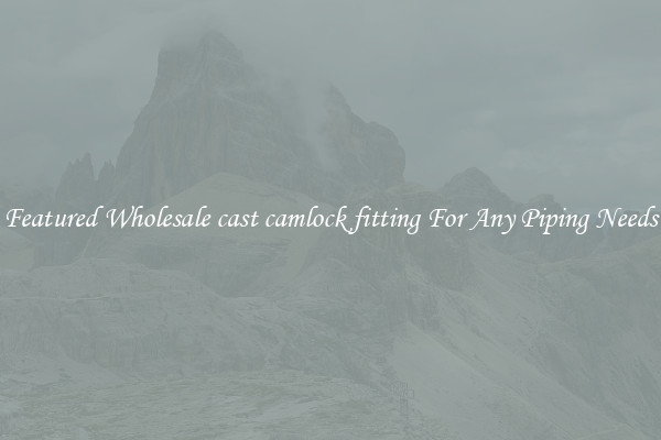 Featured Wholesale cast camlock fitting For Any Piping Needs