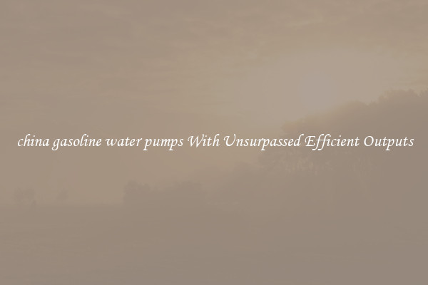 china gasoline water pumps With Unsurpassed Efficient Outputs