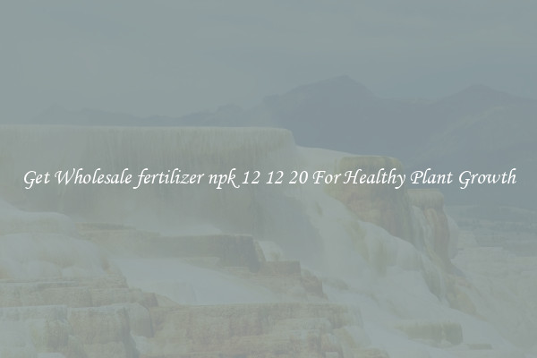Get Wholesale fertilizer npk 12 12 20 For Healthy Plant Growth