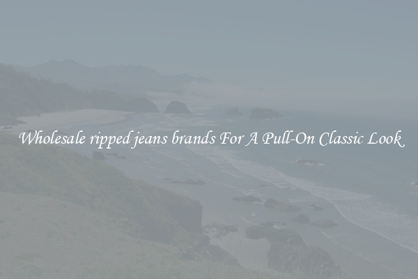 Wholesale ripped jeans brands For A Pull-On Classic Look
